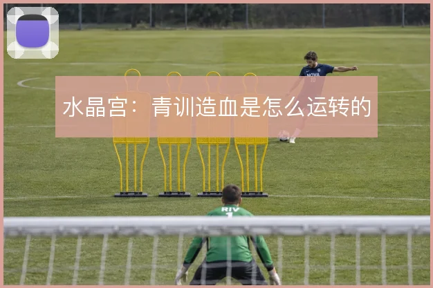 水晶宫：青训造血是怎么运转的
