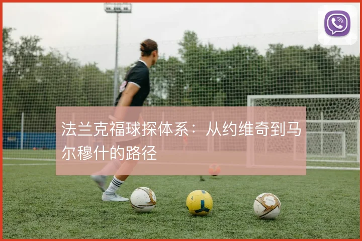 法兰克福球探体系：从约维奇到马尔穆什的路径